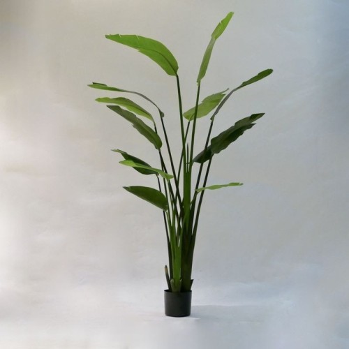pianta finta di strelizia h 150cm