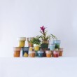 Vaso basso con bordo superiore - vendtia online In•Vasi