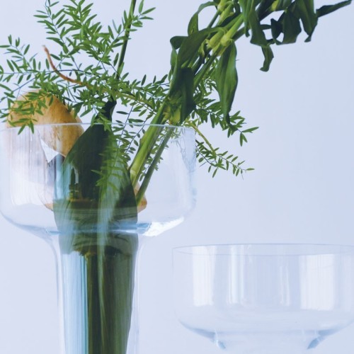 Vaso in vetro trasparente a calice - vendtia online In•Vasi