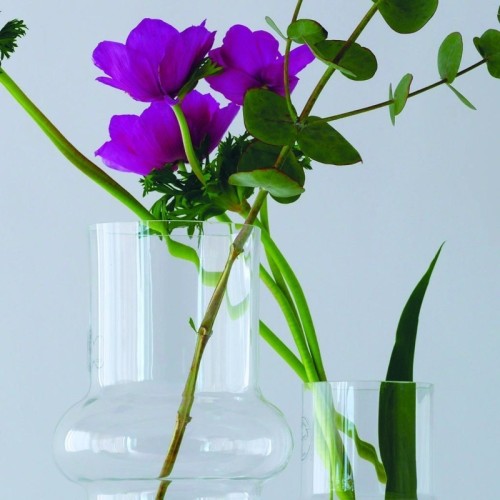Vaso in vetro cattedrale moderno  - vendita online su In•Vasi