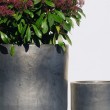 Vaso alto color nero opaco  svasato - vendita online su In-Vasi