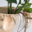 Vaso in ceramica smaltata svasato con ossidi d'argento color perla