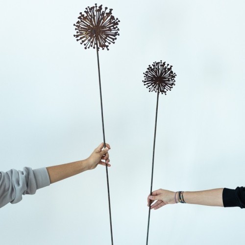 Figura di fiore "Allium" - vendita online su In-Vasi