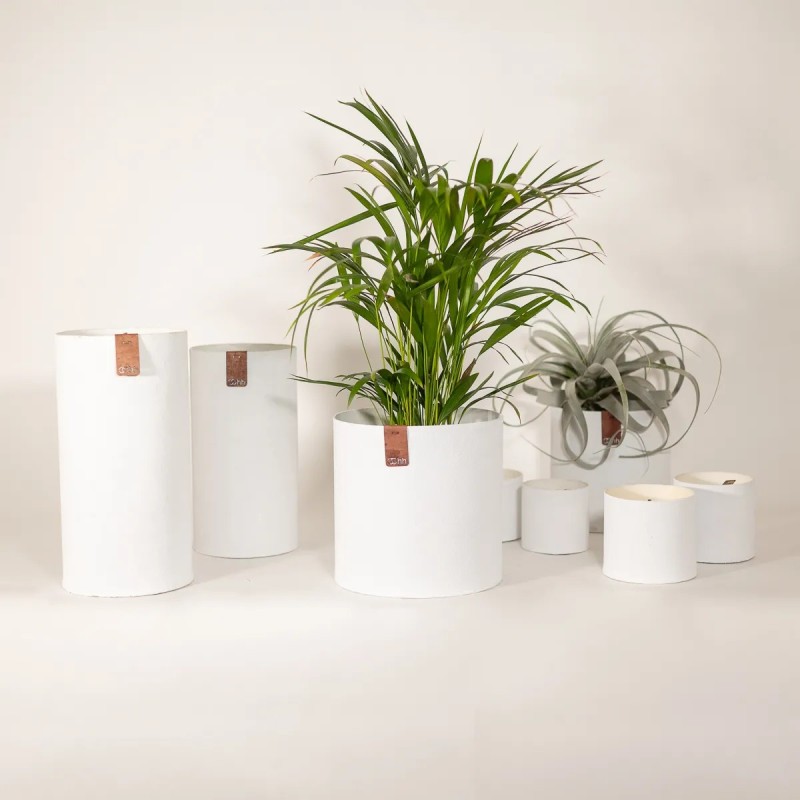 Vaso cilindrico bianco in carta e lattice effetto sabbia ruvida