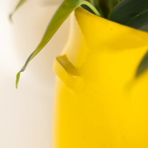 Vaso color limone a base tonda con impugnature esterne