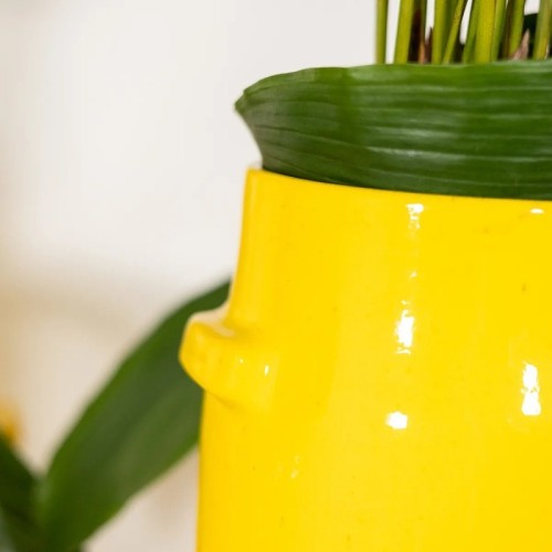 Vaso color limone a base tonda con impugnature esterne