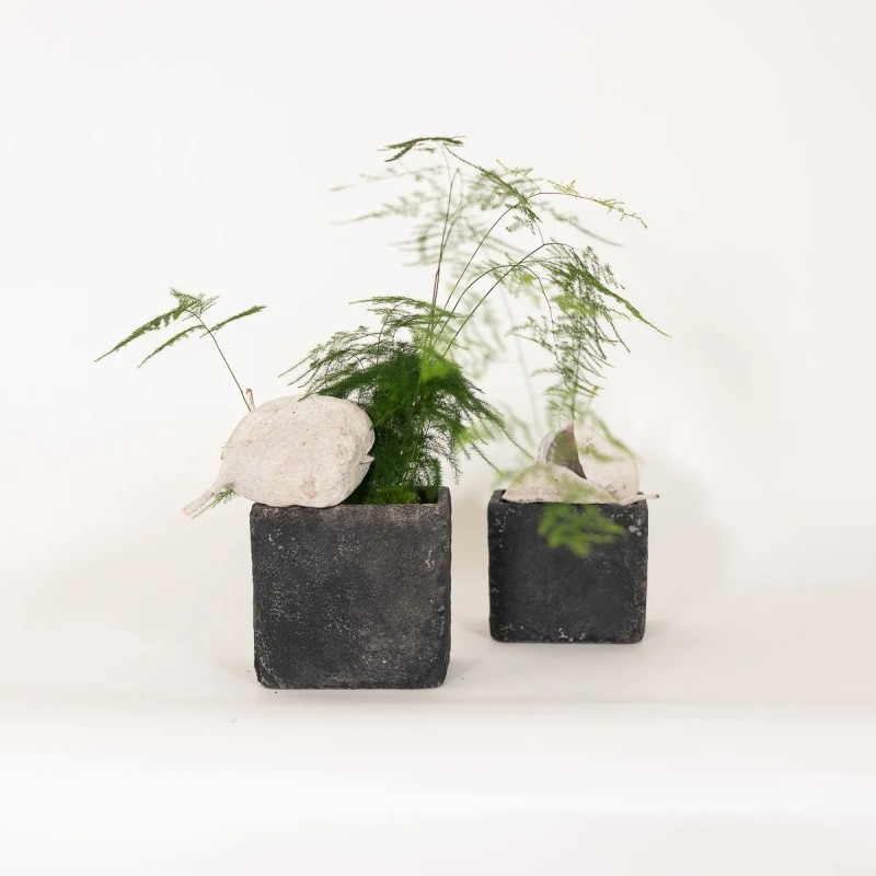 Vaso cubico nero in cemento anticato - vendita online su In-Vasi