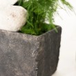 Vaso cubico nero in cemento anticato - vendita online su In-Vasi