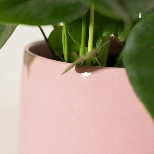 Vaso rosa tondo lucido svasato sulla base - vendita online su In-Vasi