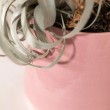 Vaso rosa tondo lucido svasato sulla base - vendita online su In-Vasi