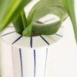 Vaso di design liscio opaco - vendita online su In-Vasi